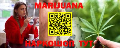 крисы Кулебаки