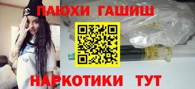 крисы Кулебаки
